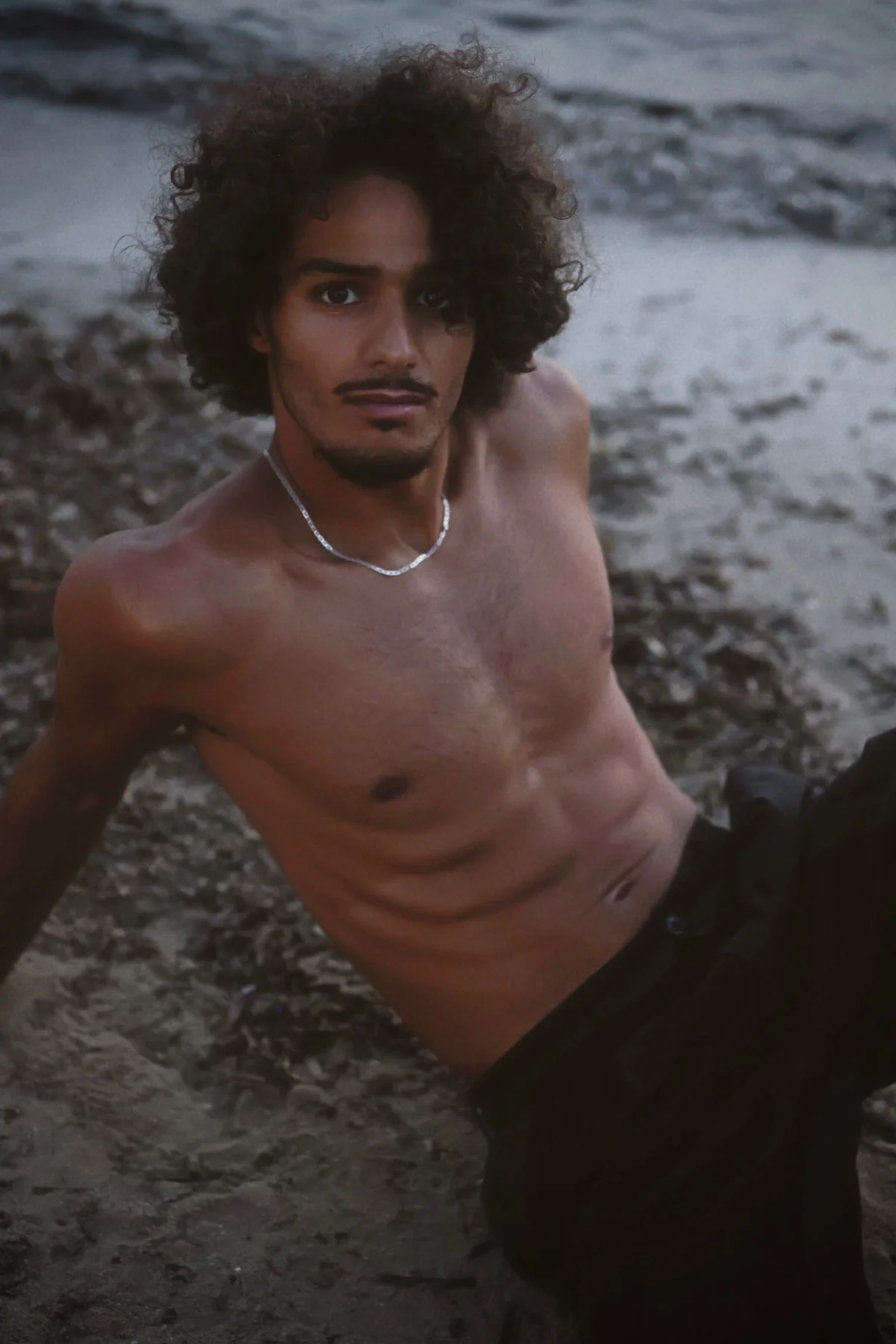 Tarek, photo